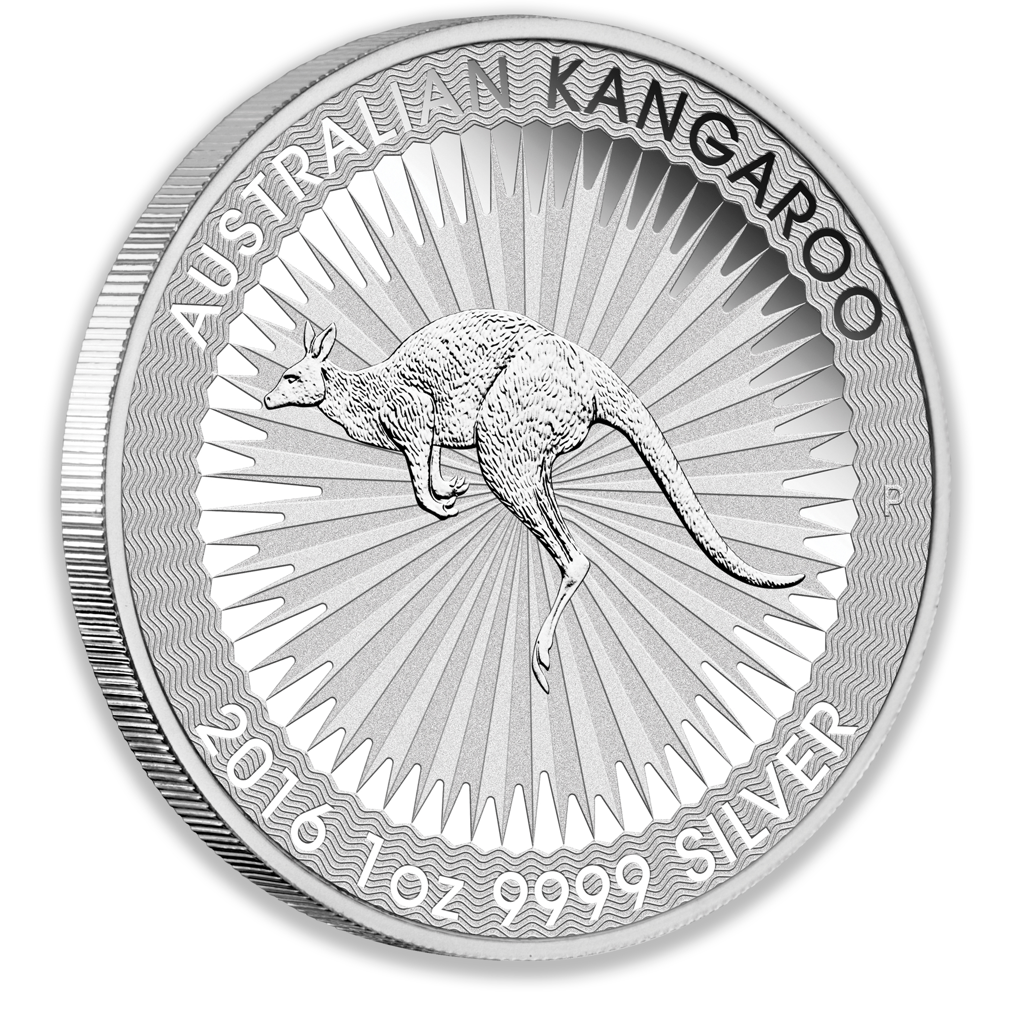 1oz Perth Mint Silver Kangaroo Coin (random Years)