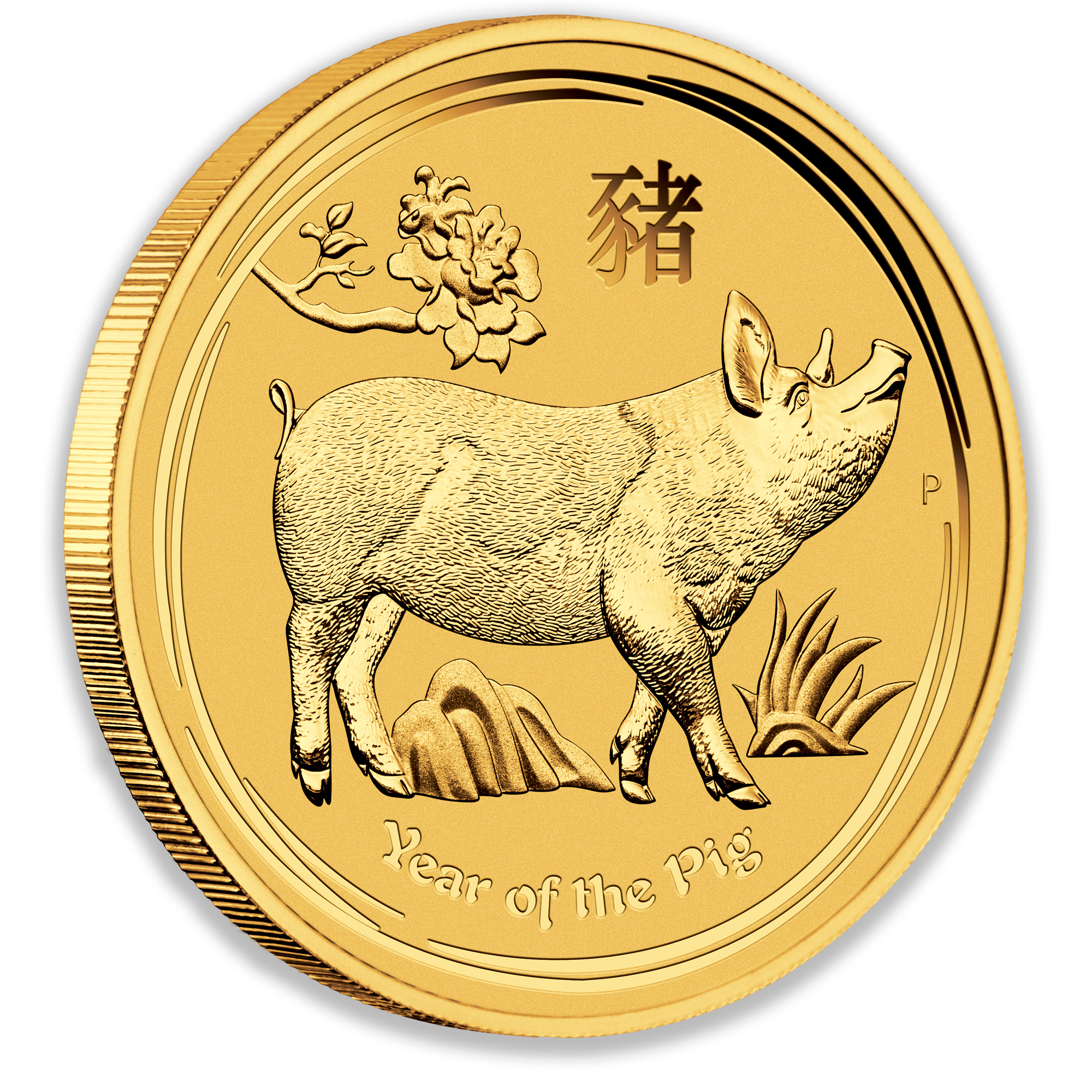 2019 1/20oz Perth Mint Gold Lunar Pig Coin