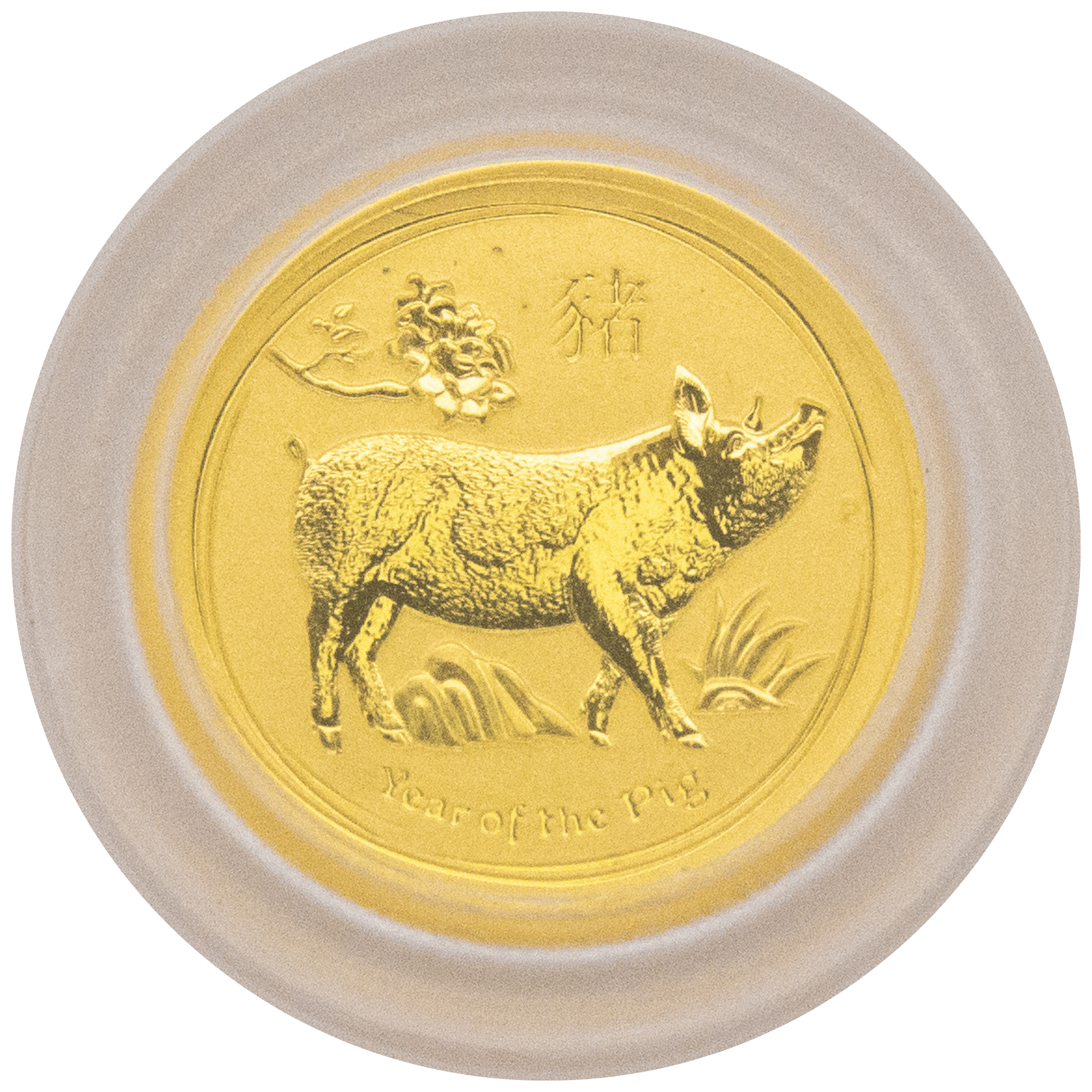 2019 1/20oz Perth Mint Gold Lunar Pig Coin