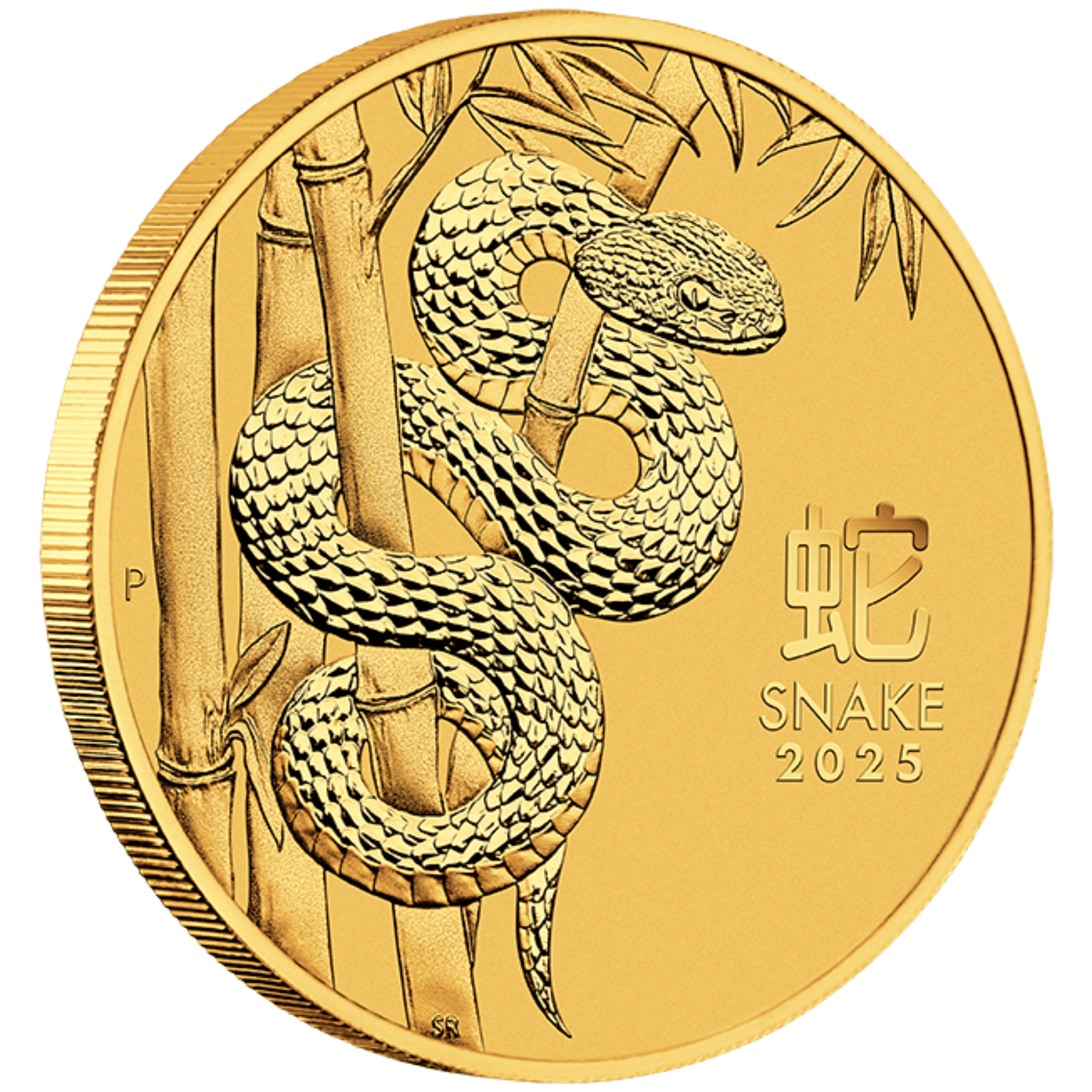 2025 2oz Perth Mint Gold Lunar Snake Coin Series 3