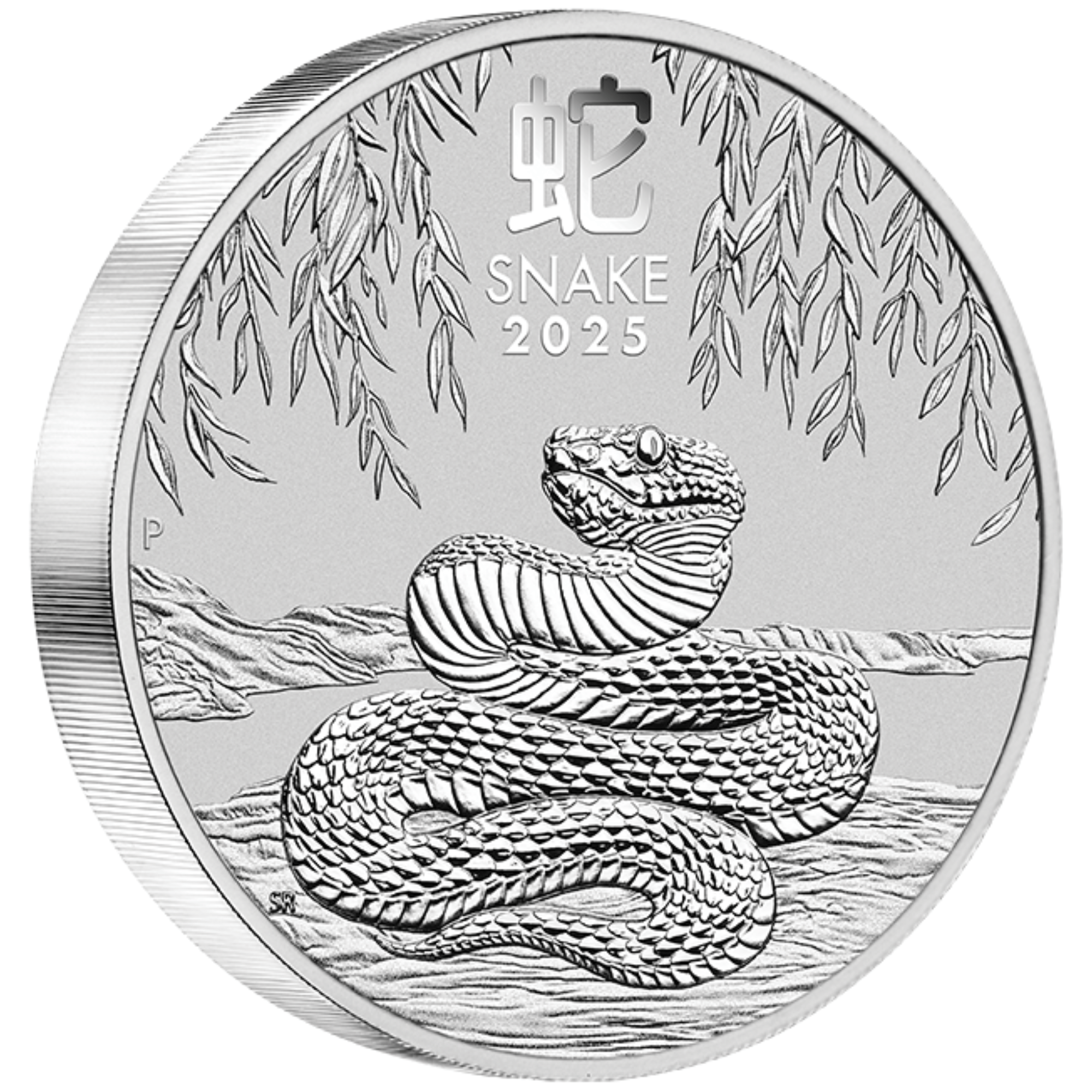 2025 1kg Perth Mint Silver Lunar Snake Coin Series 3