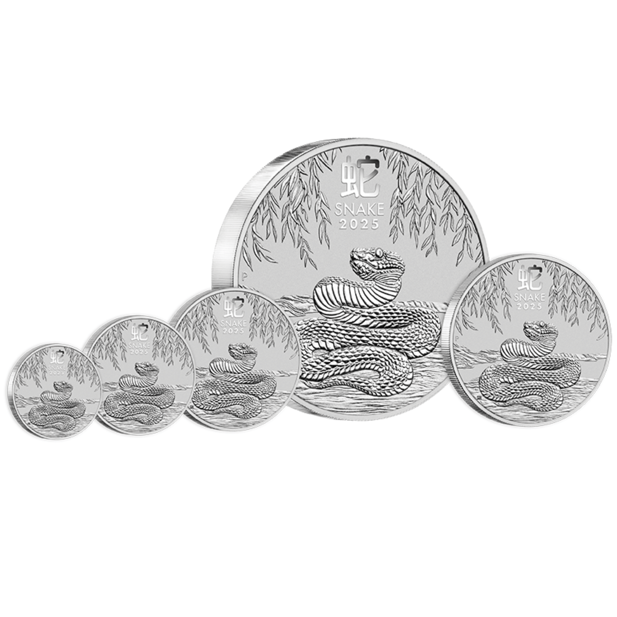 2025 1kg Perth Mint Silver Lunar Snake Coin Series 3