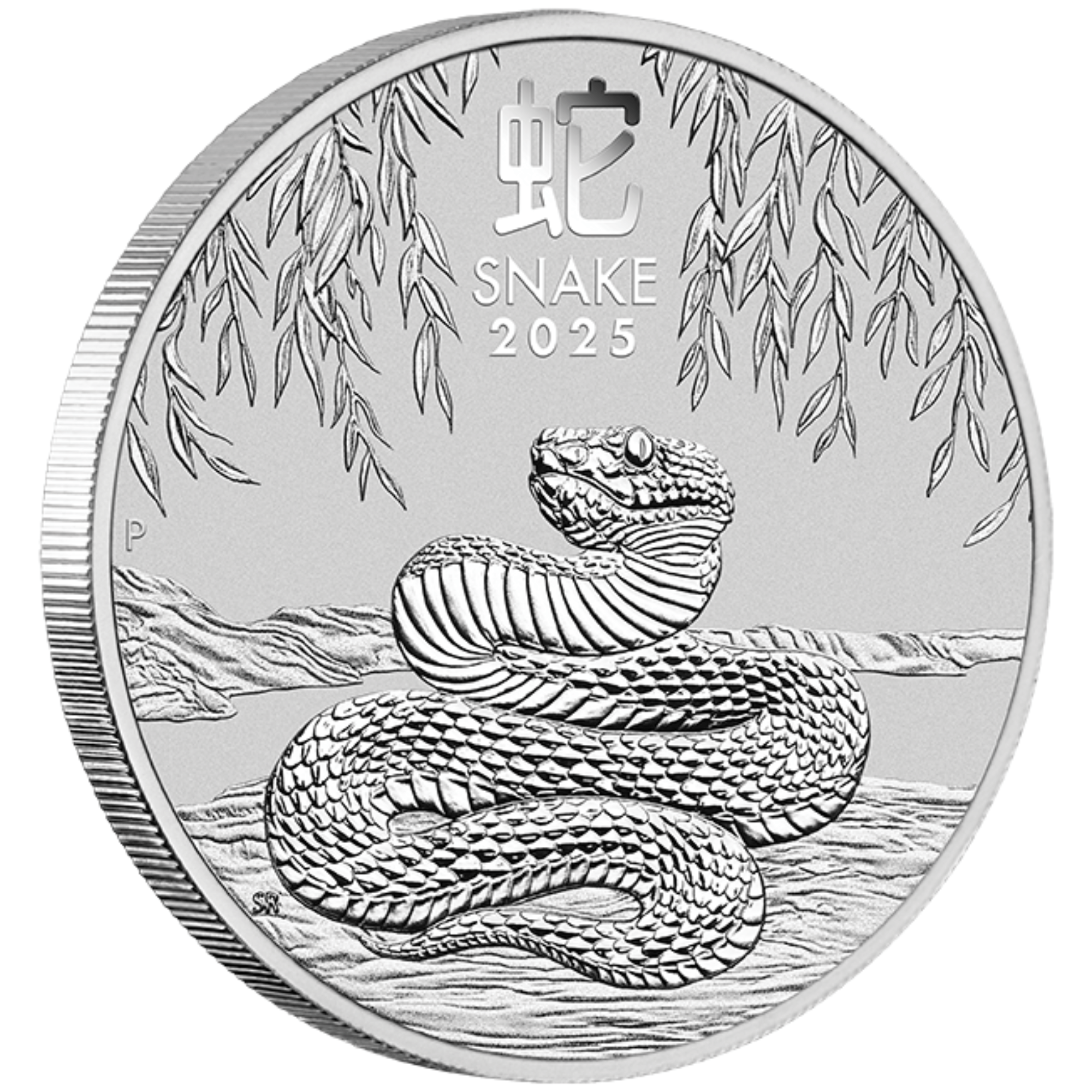 2025 5oz Perth Mint Silver Lunar Snake Coin Series 3