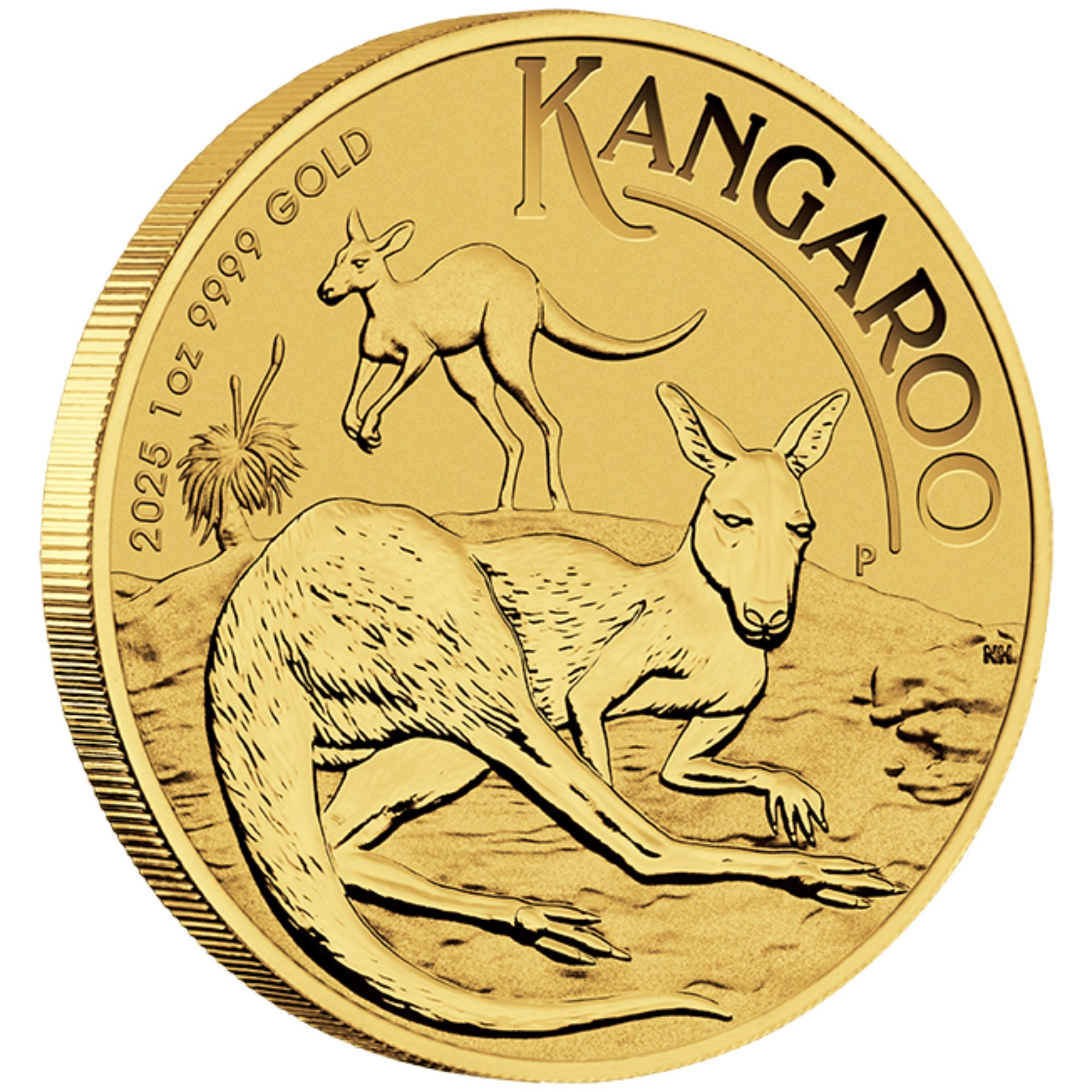 2025 1oz Perth Mint Gold Kangaroo Coin