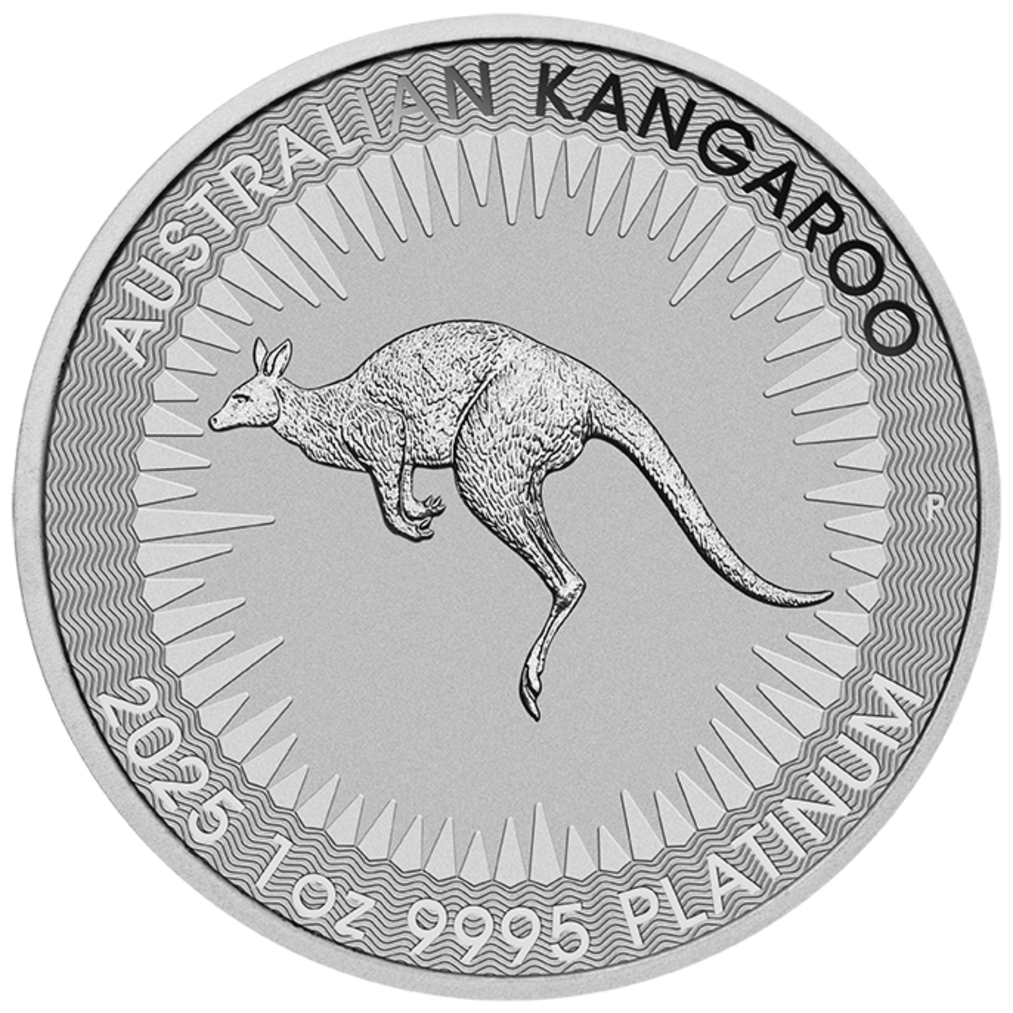 2025 1oz Perth Mint Platinum Kangaroo Coin