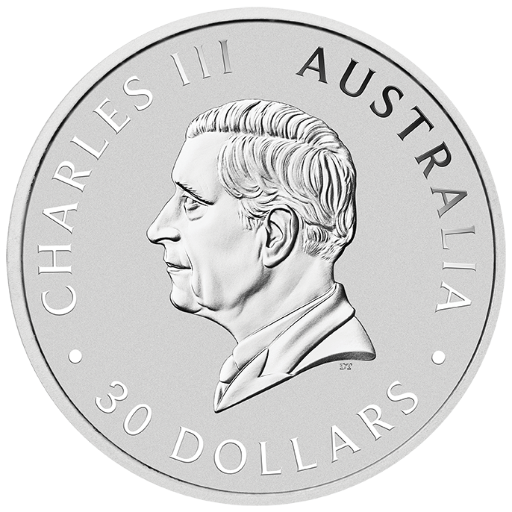 2025 1kg Perth Mint Silver Koala Coin