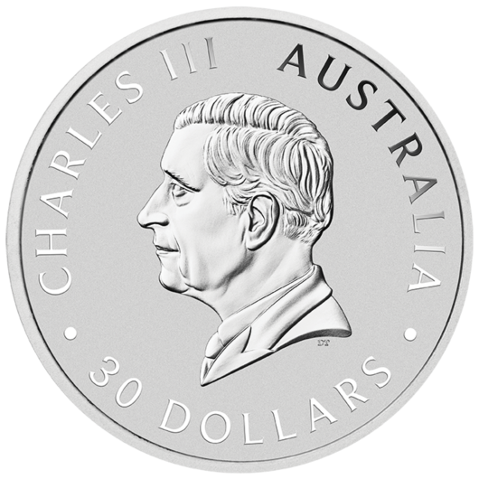 2025 1kg Perth Mint Silver Koala Coin